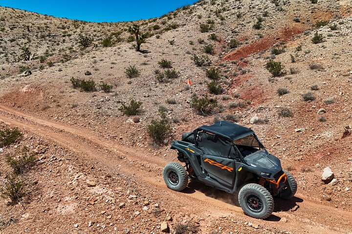 Las Vegas Desert RZR Adventure Tour at the Pioneer Saloon in Las